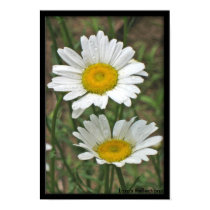Soul Mates Poster posters