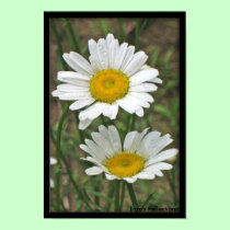 Soul Mates Poster posters by lorale Soul Mates Poster posters