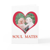 Soul Mates Shirts, Cards, Mugs
