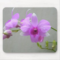 Soul Refreshing mousepads