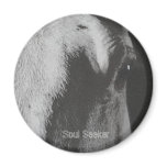 Soul Seeker Refrigerator Magnets