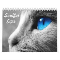 Soulful Eyes of the Cat Wall Calendar