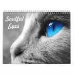 Soulful Eyes of the Cat Wall Calendar
