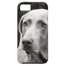 Soulful Eyes of the Weimaraner iPhone 5 Cover