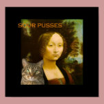 Sour Pusses posters