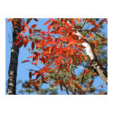 Sourwood Leaves in Autumn posters