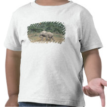 South Africa, Addo Elephant Nat'l Park. Baby Tee Shirt