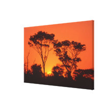South Africa.  African sunset. Stretched Canvas Print