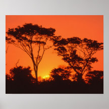 South Africa.  African sunset. Print