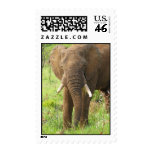 South Africa Elephant Stamp