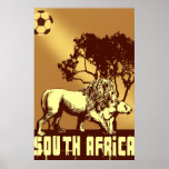 South Africa lion safari soccer Poster posters