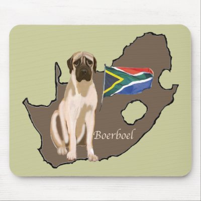 South African Boerboel Mastiff