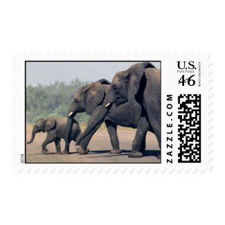 South African Elephants (medium) stamp