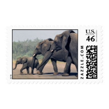 South African Elephants (medium) Postage Stamps