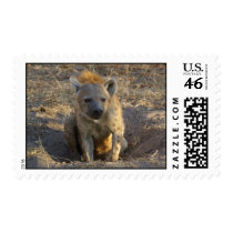 South African Hyena Stamps
