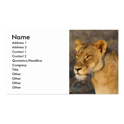 South African Lion Business Card Template (front side)