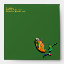 South African rugby bokke green gold envelopes