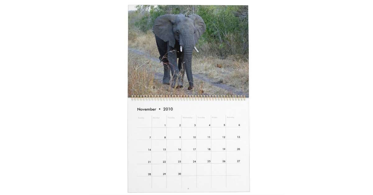 South African Wildlife Calendar Zazzle