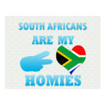 South Africans are my Homies Postcard