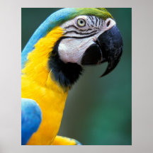 South America, Brazil, Iguacu Natioanl Park, Posters