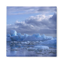 South America, Chile, San Rafael Lagoon NP. Fridge Magnets