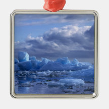 South America, Chile, San Rafael Lagoon NP. Christmas Tree Ornament