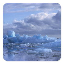 South America, Chile, San Rafael Lagoon NP. Square Stickers