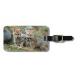 South America, Chile, Torres del Paine National Luggage Tag