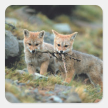 South America, Chile, Torres del Paine National Sticker