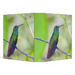 South America, Costa Rica, Sarapiqui, La Selva 3 Ring Binder