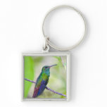 South America, Costa Rica, Sarapiqui, La Selva Key Chain