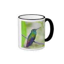 South America, Costa Rica, Sarapiqui, La Selva Coffee Mug