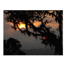South America, Ecuador, cloud forest scene in Post Cards