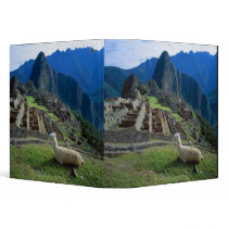 South America, Peru. A llama rests on a hill 3 Ring Binders
