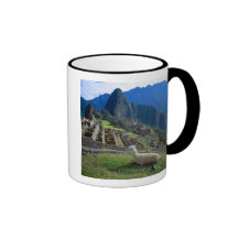South America, Peru. A llama rests on a hill Mug