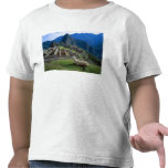South America, Peru. A llama rests on a hill t-shirts