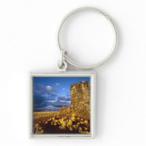 South America, Peru, near Lake Titicaca. Keychain