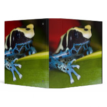 South America, Republic of Surinam. Close-up Vinyl Binder