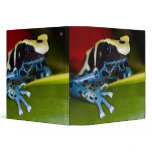 South America, Republic of Surinam. Close-up Vinyl Binder