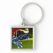 South America, Republic of Surinam. Close-up Keychain