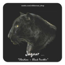 South American Black Jaguar Wildlife Collector Square Stickers