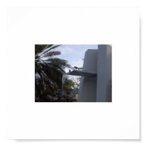 South Beach Bird Bath- F #5 posters