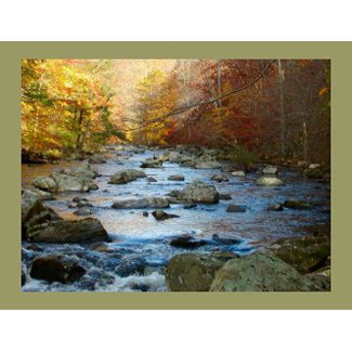 South Branch, Raritan River postcard