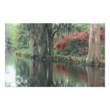 South Carolina, Charleston Photo Art