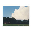 South Carolina Lowcountry postcards