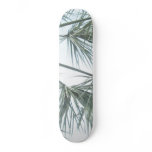 South Carolina Palmetto Skate Board..