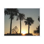 South Carolina Palmetto Sunrise Canvas Print