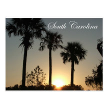 South Carolina Palmetto Sunrise Post Card