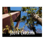 south carolina post card