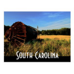 south carolina post cards